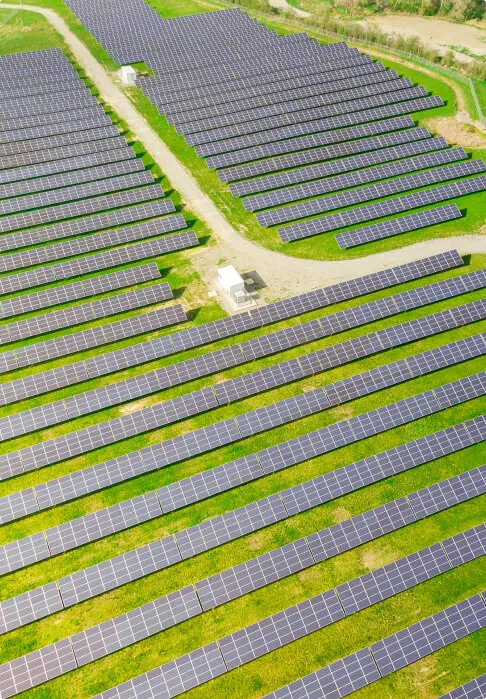 Usina solar do Grupo BC Energia